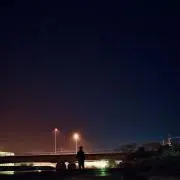 ごんの画像