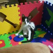 Mmの画像