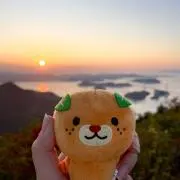まるぽんの画像