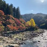 Motoの画像