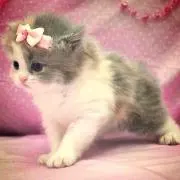 たると
