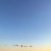 ゆきまるの画像