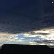 ぽーの画像