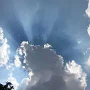 MJの画像