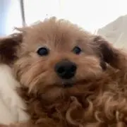 情の画像