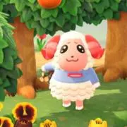 ちゃっちゃの画像
