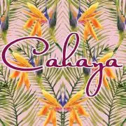 Cahaya