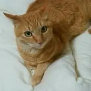 yukiの画像