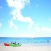 かりん