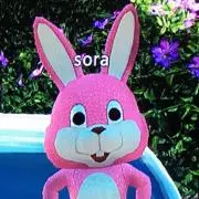 sora10の画像