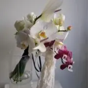 Ma__.kの画像