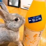 くろねこ