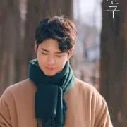 ニコの画像