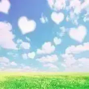 k-momの画像