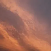 n.の画像