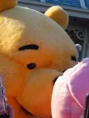 ネズミの熊の画像