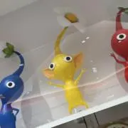 Janの画像
