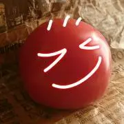 さらだ　持ち物見直し中　少しずつ出品の画像