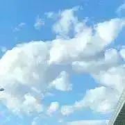 mari☆coronの画像