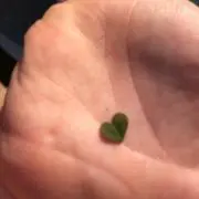 おにぎりせんべー☆★の画像