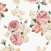 すみれの画像