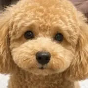 ころ☆プロファイル読んでね♪
