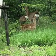 そらの画像