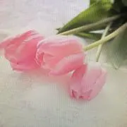 akiki