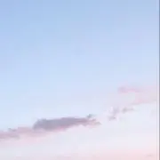 a.の画像