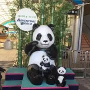 ごんちゃん