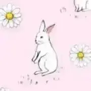卯月の画像