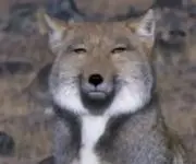 じゅんの画像