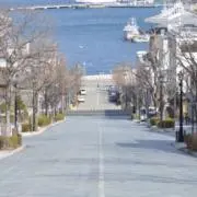 ロンの画像