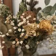 ハナレイグミの画像