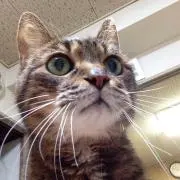 3838の画像
