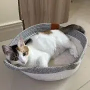 Ga1sher0の画像