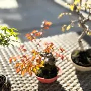 あきさま専用【送料込・手渡し1.5万引き】IKEA 屋外 ラタン調2人掛け