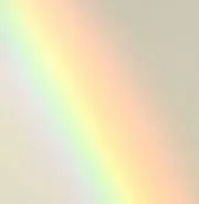alohaの画像