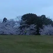 サマ美／即購入OK♪