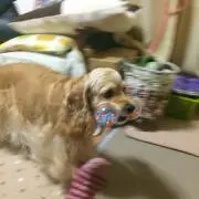 プロフ必読