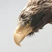 せいさんの画像