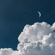 Sabaの画像