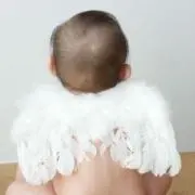 こむぎママの画像
