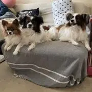ユウ