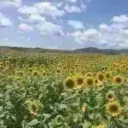 ＊smile39＊おまとめはコメントで！の画像