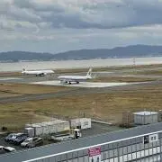 ガラハッドの画像