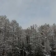 雨祢の画像