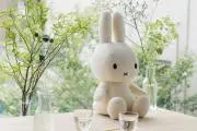 ☆茉莉花☆