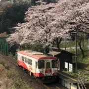 norilocoの画像