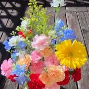 小さな花